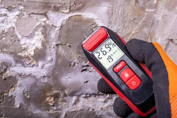 Best Water Damage Restoration  in Castle Shannon, PA